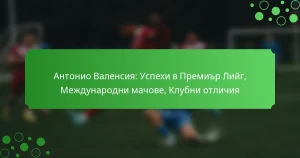 Антонио Валенсия: Успехи в Премиър Лийг, Международни мачове, Клубни отличия